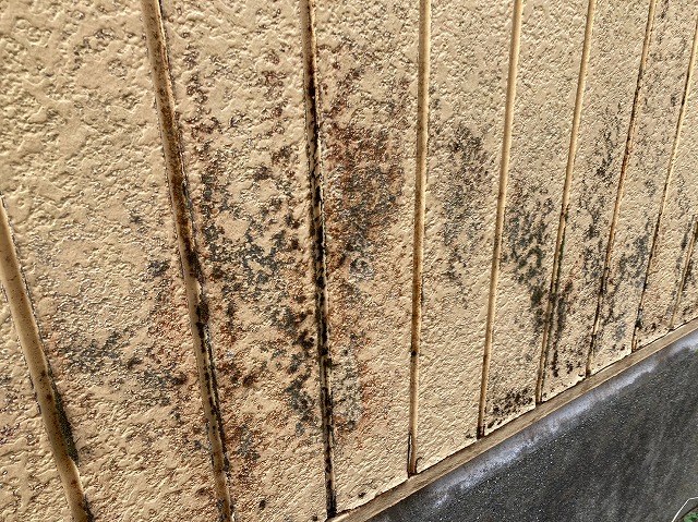 外壁材の黒ずみ